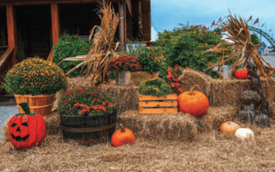 Autumn Acres Family Fest brings fall traditions to Family Roots